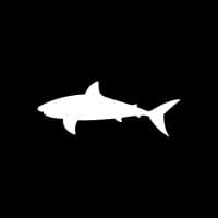 Bullshark